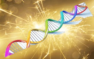 Aktivierung der GKDNA